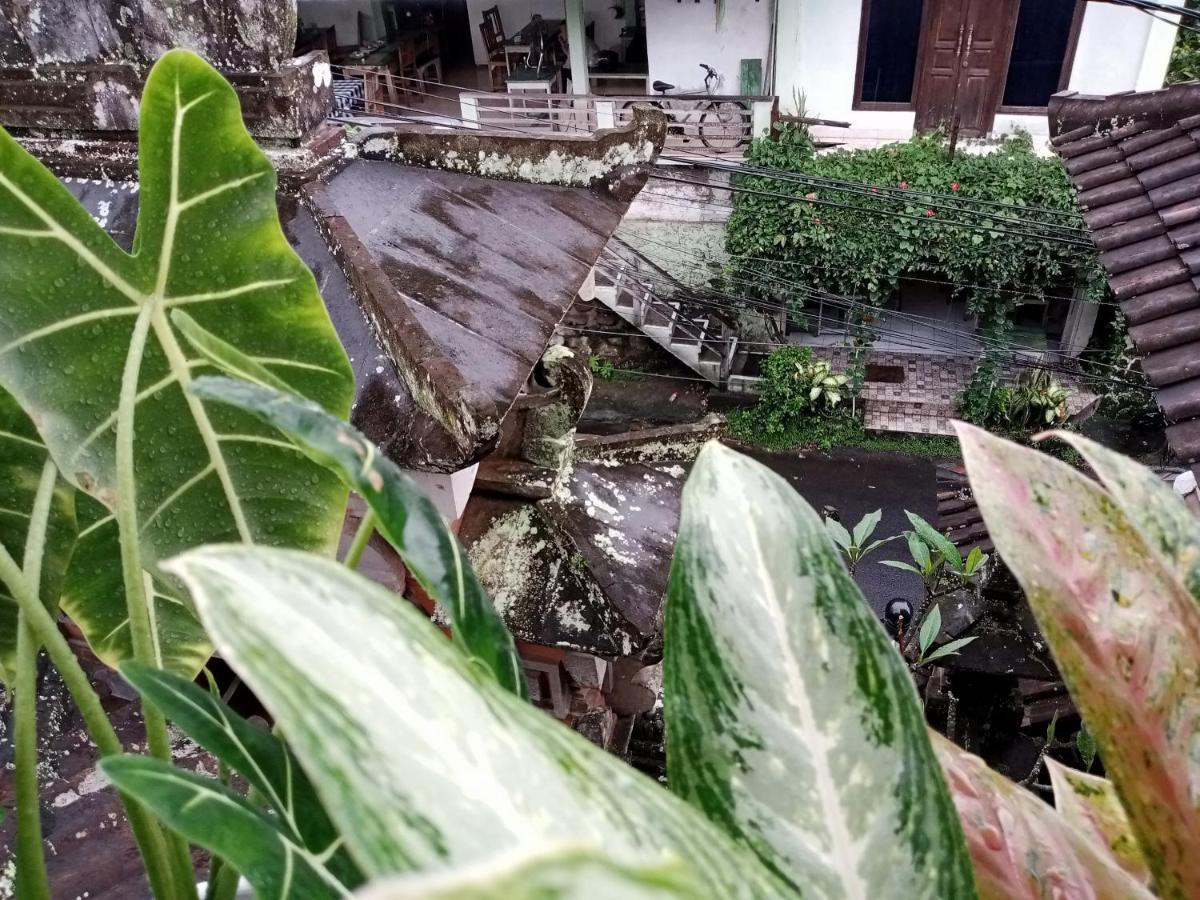 Wah Teja Homestay Убуд Екстер'єр фото